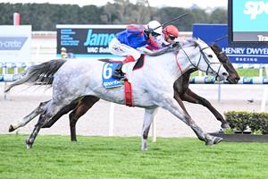 STABLE REJOICES IN EMOTIONAL WIN 